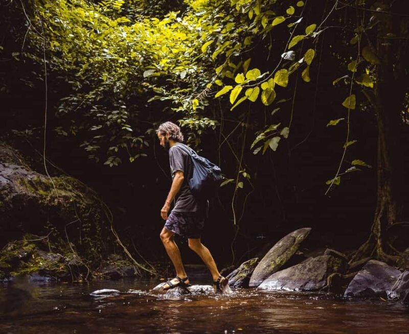 Khao Sok: Private Day Trekking, Jungle Dinner & Night Safari - The Practicalities: What to Expect and Consider