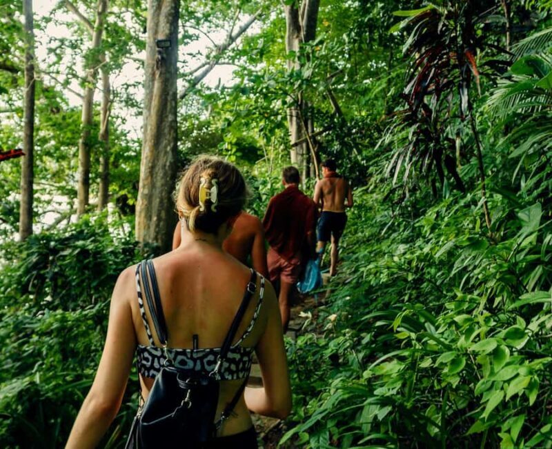 Khao Sok: Private Day Trekking, Jungle Dinner & Night Safari - FAQ