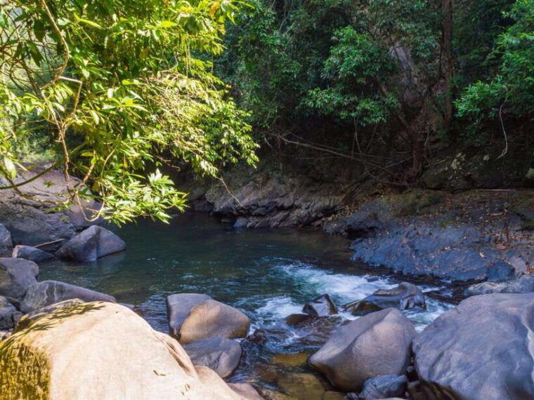 khao-sok-private-waterfalls-and-wildlife-half-day-trek
