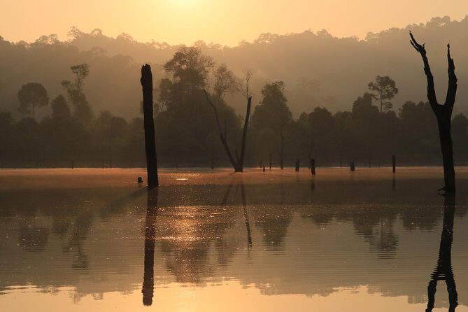 Khao Sok Wildlife 2 Days - Key Points