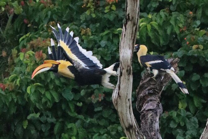 Khao Sok Wildlife 2 Days - Who Is This Tour Best For?