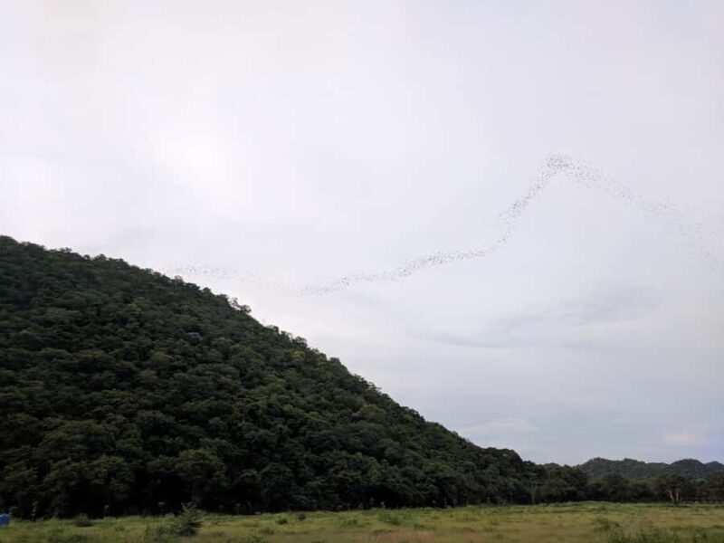 Khao Yai National Park: 2-Day Private Tour from Bangkok - An In-Depth Look at the 2-Day Khao Yai Experience