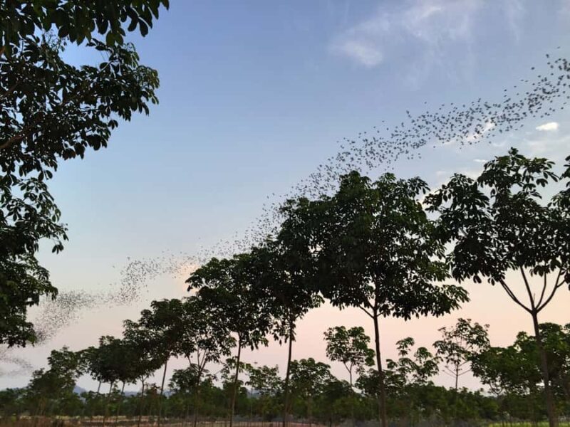 Khao Yai National Park: 2-Day Private Tour from Bangkok - Authentic Experiences from the Traveller Perspective