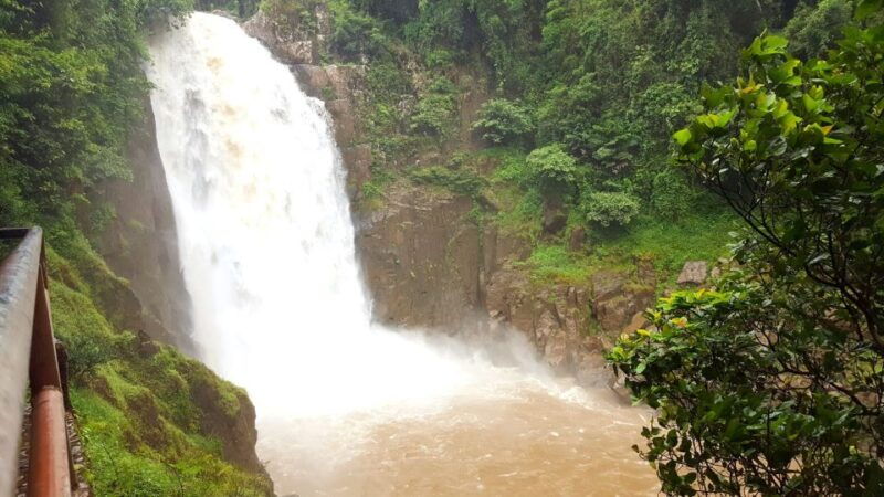 khao-yai-national-park-2-day-private-tour-from-bangkok
