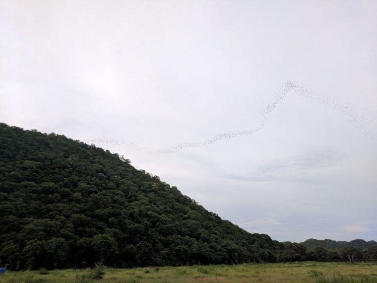 khao-yai-national-park-2-day-private-tour-from-bangkok