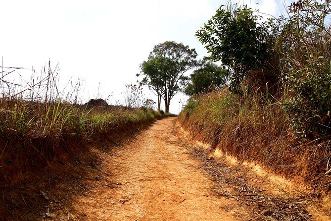 Khao Yai National Park Full Day Tour from Bangkok - Final Thoughts