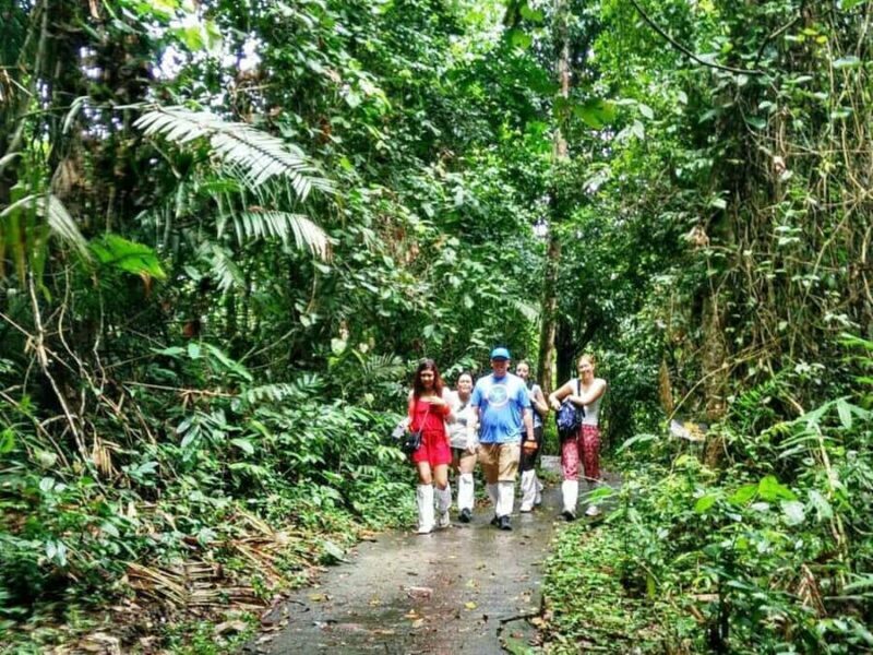 Khao Yai National Park: Waterfalls - Heaw narok & Heaw Suwat - Who Should Consider This Tour?