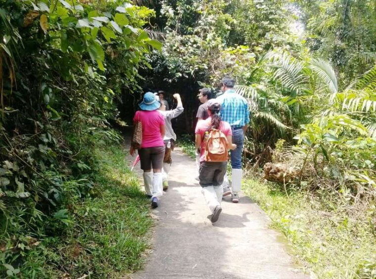 khao-yai-national-park-waterfalls-heaw-narok-heaw-suwat
