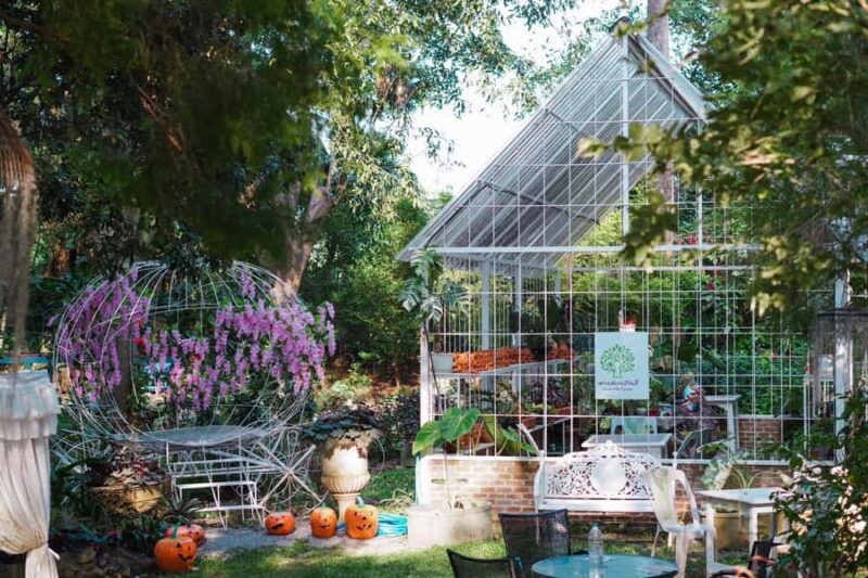 Khao Yai: Private Custom Tour with Driver From Bangkok - Real Traveler Insights and Tips