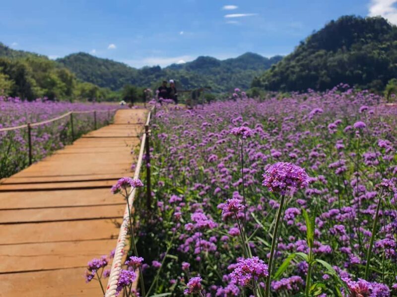 Khao Yai: Private Custom Tour with Driver From Bangkok - Practical Details and Tips