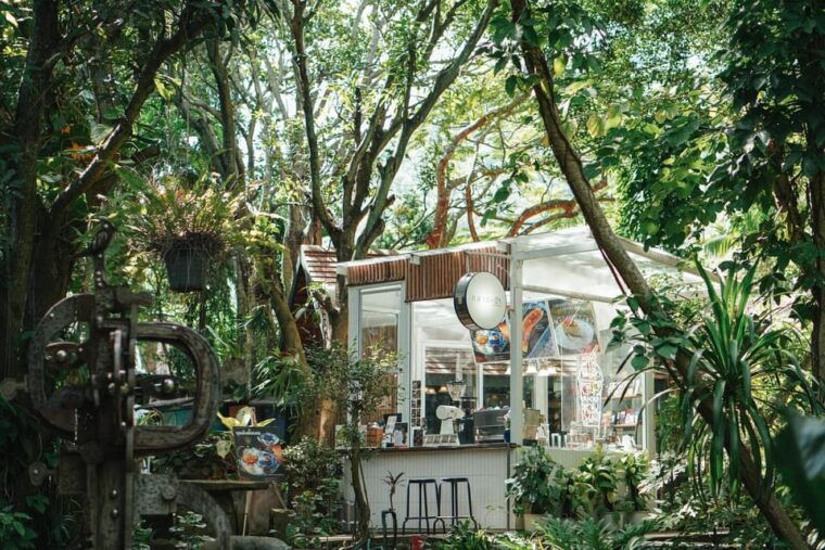 khao-yai-private-custom-tour-with-driver-from-bangkok