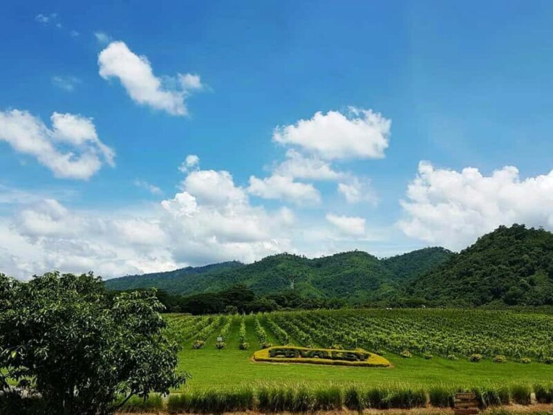 Khao Yai Vineyard Tasting Tour & Horse Farm Visit - Khao Yai Vineyard Tasting Tour & Horse Farm Visit: An Authentic Day Trip from Bangkok