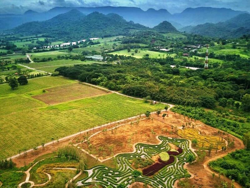 Khao Yai Vineyard Tasting Tour & Horse Farm Visit - Key Points