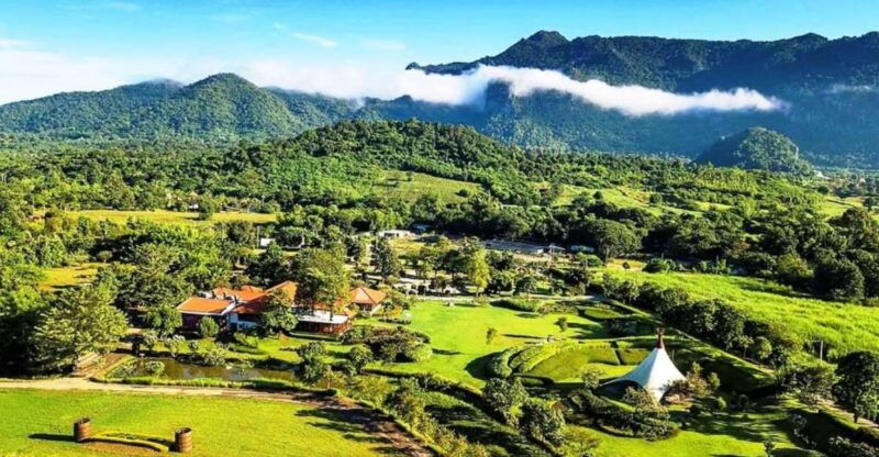 khao-yai-vineyard-tasting-tour-horse-farm-visit