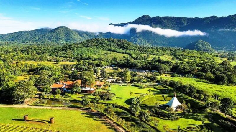 khao-yai-vineyard-tasting-tour-horse-farm-visit