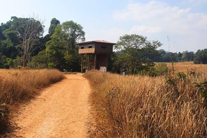 Khao Yai Waterfalls and Wilderness Private Chartered Tour - Final Thoughts