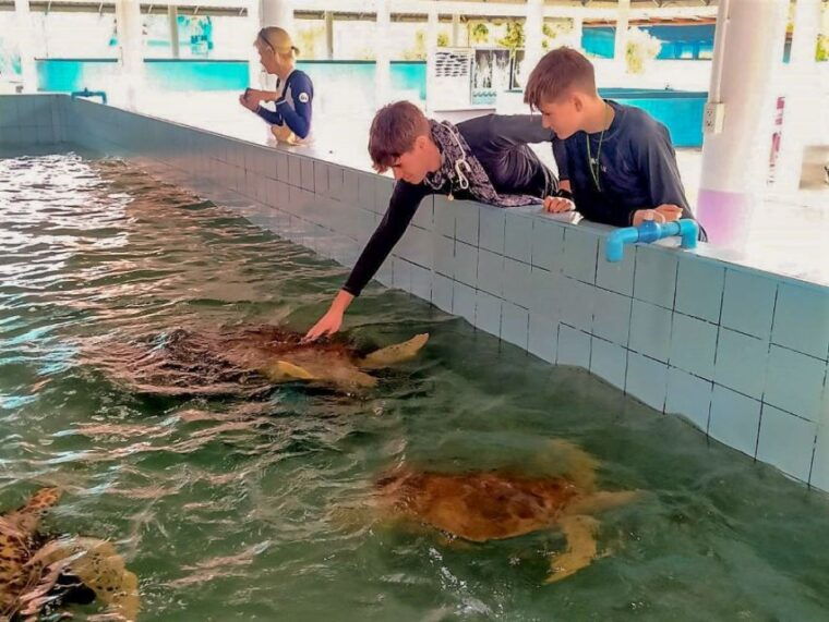 khaolak-bamboo-rafting-waterfalls-and-turtle-conservation