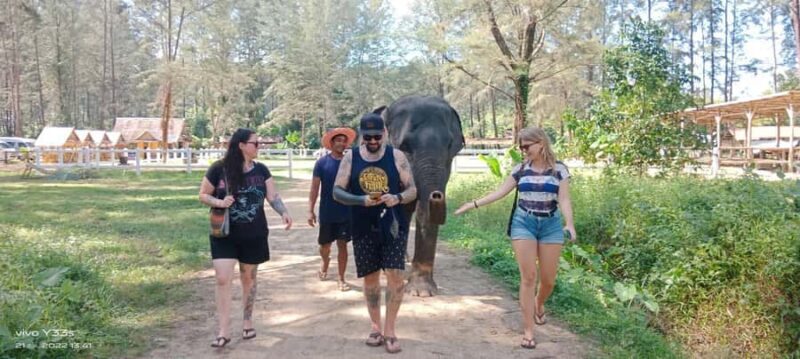 Khaolak: Elephant Interaction in Sanctuary with Bamboo Raft - Who Will Love This Tour?