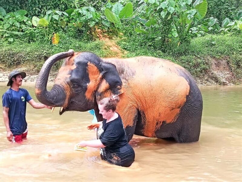 Khaolak: Elephant Interaction in Sanctuary with Bamboo Raft - FAQ