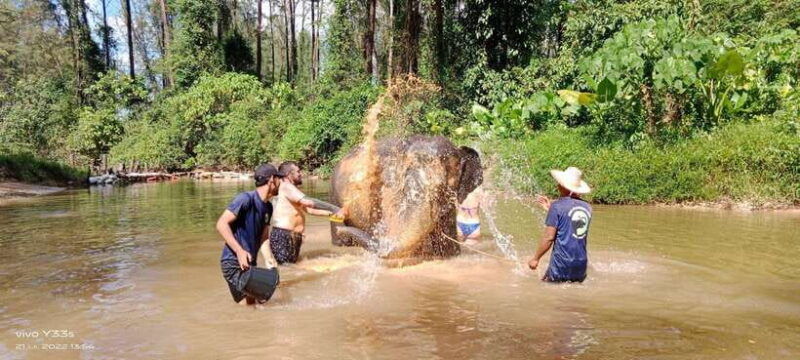 khaolak-elephant-interaction-in-sanctuary-with-bamboo-raft