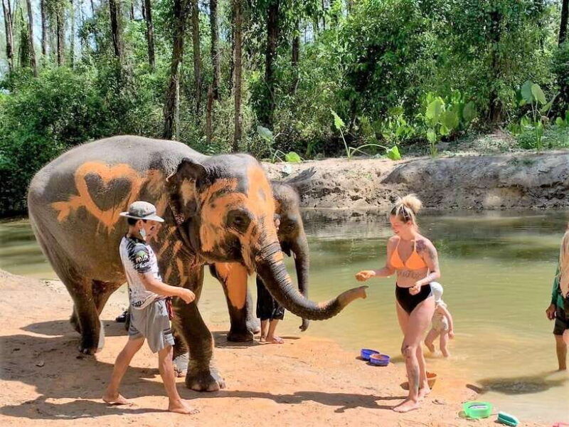 khaolak-elephant-interaction-in-sanctuary-with-bamboo-raft