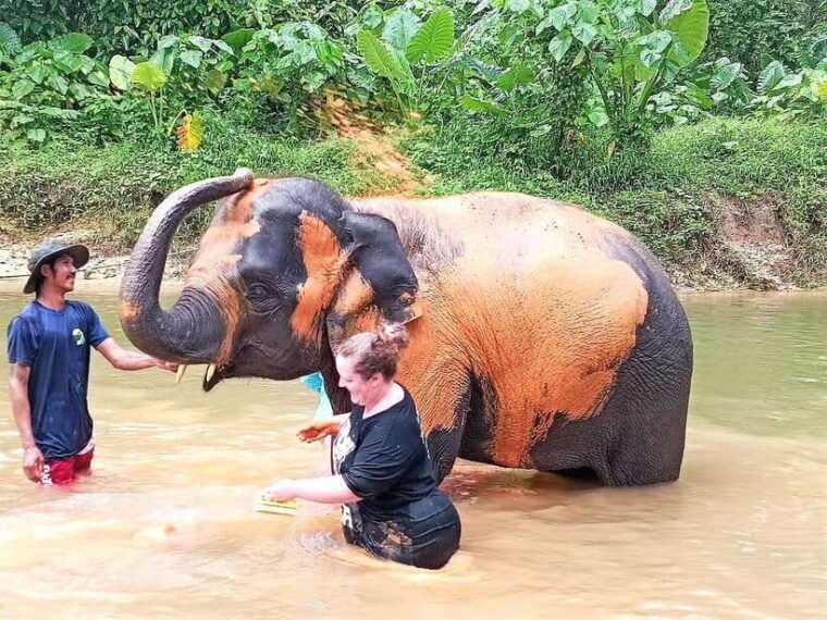 khaolak-elephant-interaction-in-sanctuary-with-bamboo-raft