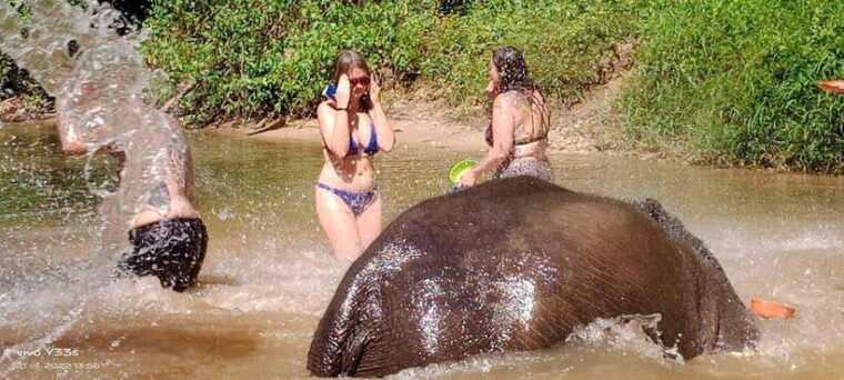 khaolak-elephant-interaction-in-sanctuary-with-bamboo-raft