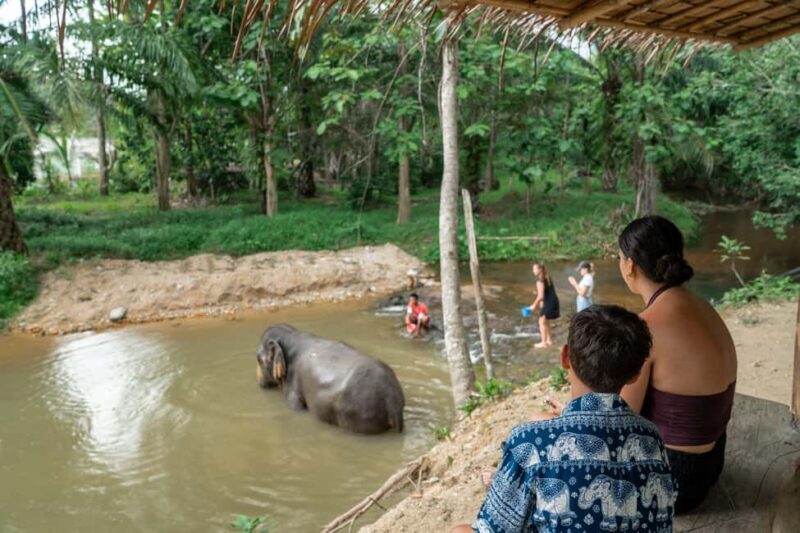 Khaolak: Elephant Sanctuary Guided Tour with Hotel Transfers - Introduction