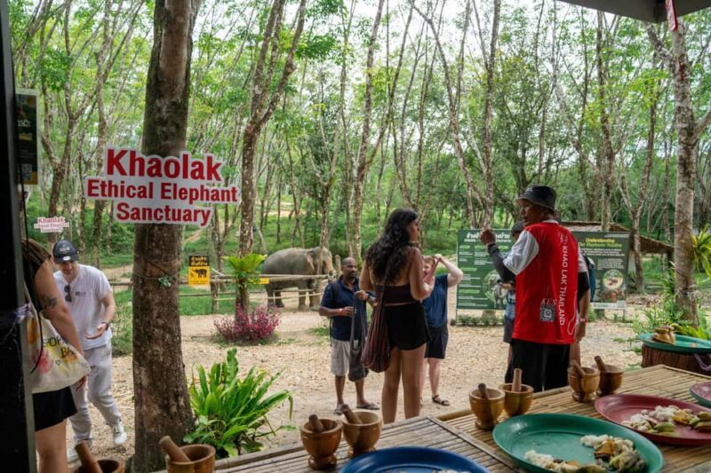 Khaolak: Elephant Sanctuary Guided Tour with Hotel Transfers - Who Should Consider This Tour?