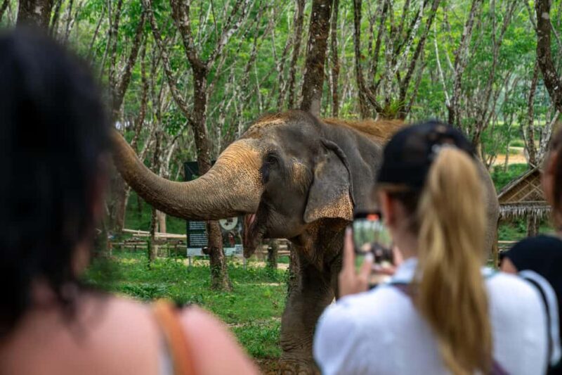 Khaolak: Elephant Sanctuary Guided Tour with Hotel Transfers - Practical Details & Tips