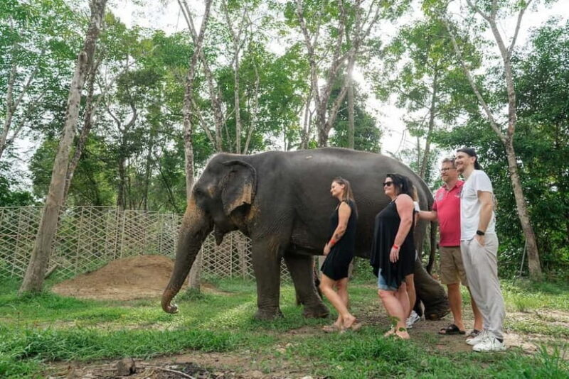 Khaolak: Elephant Sanctuary Hightlights Guide & Forage Tour - Final Thoughts