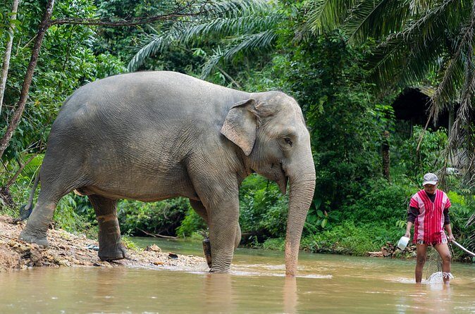 Khaolak Elephant Sanctuary Visit & River Tubing Tour - Final Thoughts