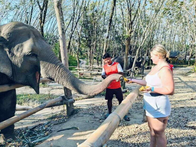 khaolak-ethical-elephant-sanctuary-snack-making-feeding