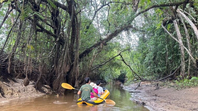 khaolak-hightlight-tour-with-eco-guide-adventure
