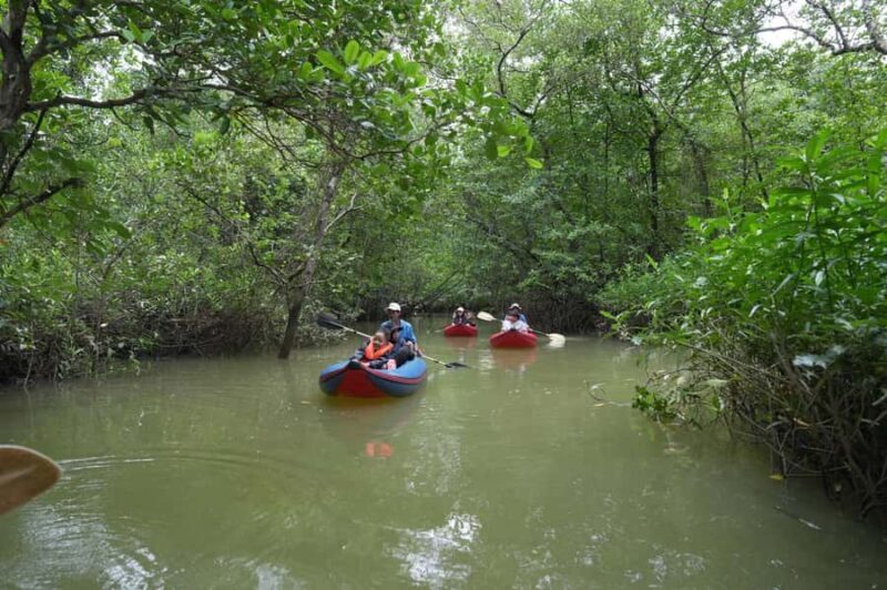 Khaolak: Little Amazon and Wat Khongkha Phimuk (Half Day) - Key Points