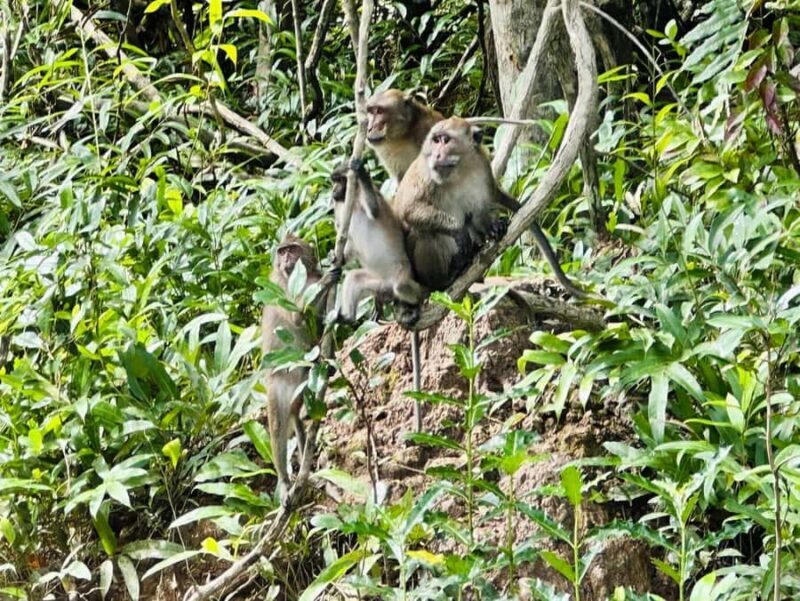 Khaolak: Little Amazon and Wat Khongkha Phimuk (Half Day) - The Sum Up