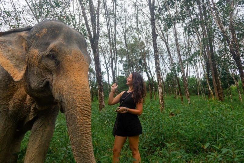 Khaolak: Sunset Elephant Walk with Complimentary Cocktail - Authenticity & Ethical Approach