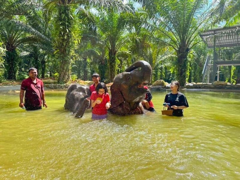 KhaoLak :White Water Rafting ,Monkey Cave, Elephant Bathing - Final Thoughts: Who Will Love This Tour?