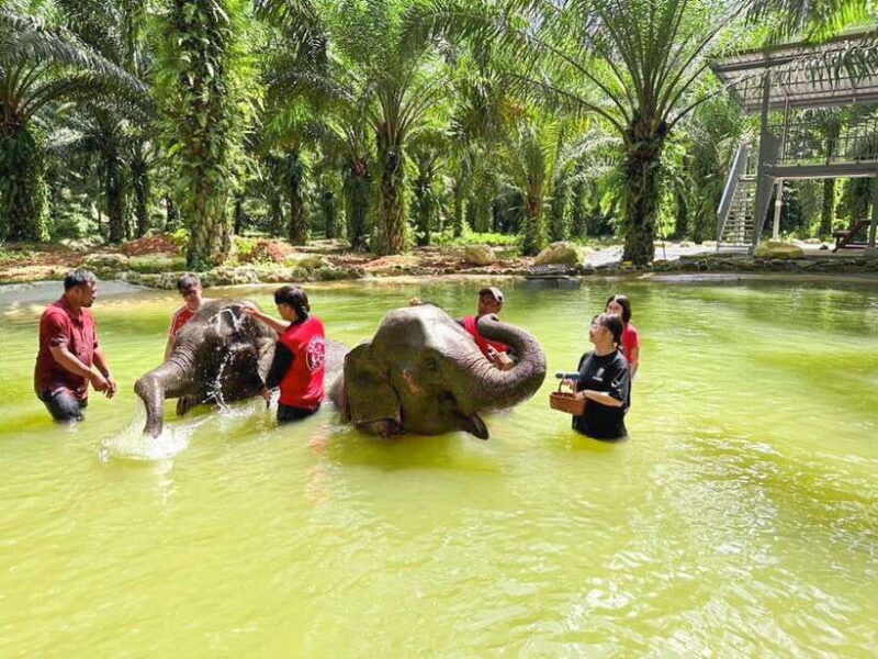 khaolak-white-water-rafting-monkey-cave-elephant-bathing