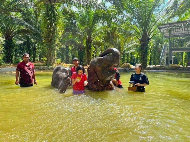 khaolak-white-water-rafting-monkey-cave-elephant-bathing