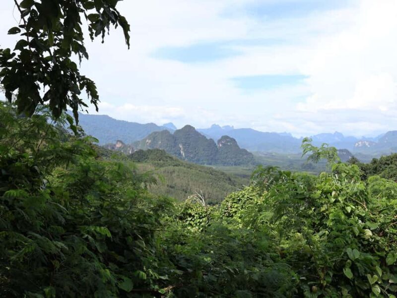 Khaosok Bamboo Raft & Night Safari (From Khaolak) - Detailed Review of the Khaosok Bamboo Raft & Night Safari Tour