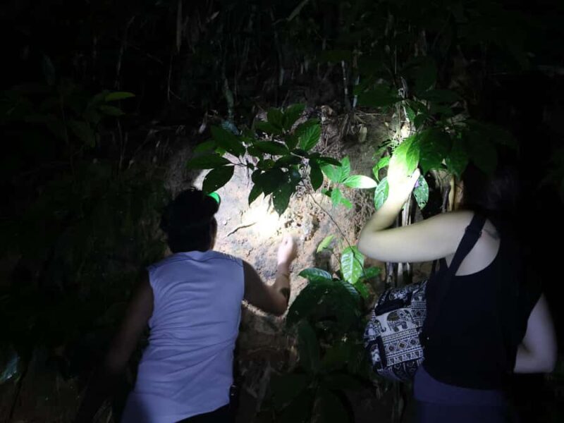 Khaosok Bamboo Raft & Night Safari (From Khaolak) - FAQ