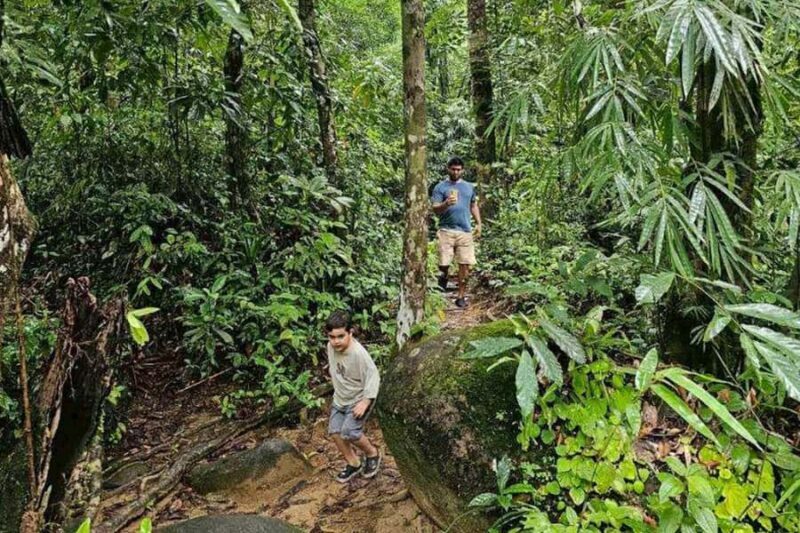 Khaosok: Bamboo Tube Cooking Day & Night Wildlife Experience - Authentic and Enjoyable Guides