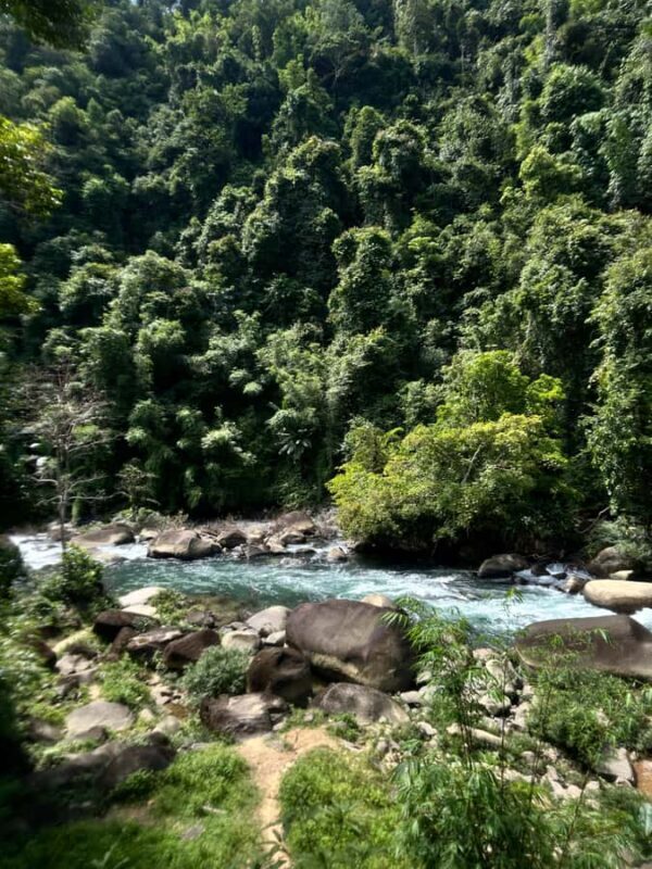 Khaosok: Jungle Walk & Bamboo Rafting with Local Market - Final Thoughts: Who Will Love This Tour?