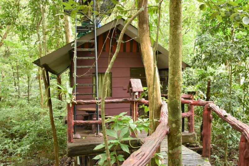 khaosok-national-park-4-day-and-3-night-package-trip
