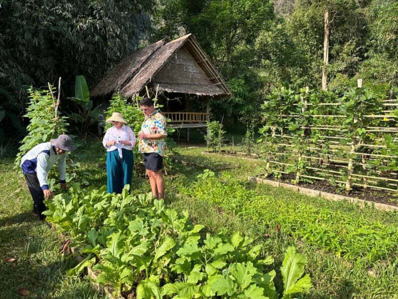 Khaosok:BambooCooking&GardenHarvest,Bamboo Rafting&Temple - An In-Depth Look at the Tour