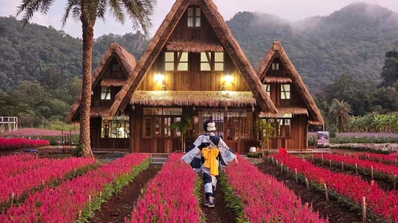 KHAOYAI : Wine Tasting Tour & Primo Piazza & Hokkaido Flower - What to Expect from the Tour