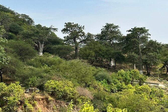 Khareef Salalah- Full Day Mountains and Waterfalls - The Sum Up