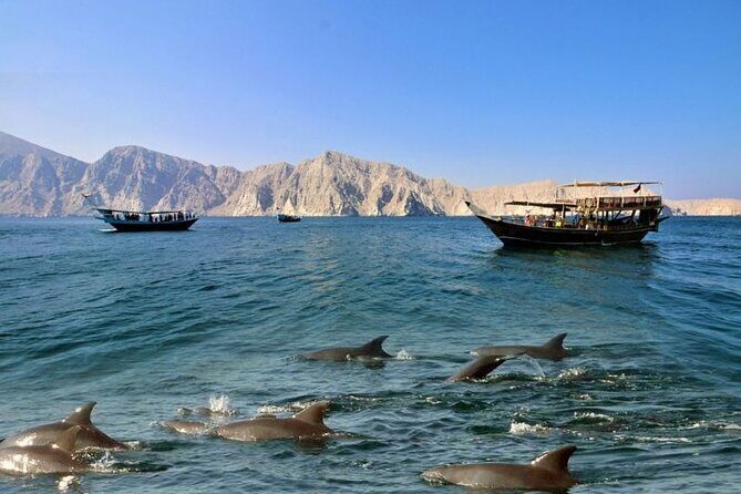 Khasab Musandam Full Day dhow cruise with lunch and Snorkeling - What to Expect from the Khasab Musandam Dhow Cruise