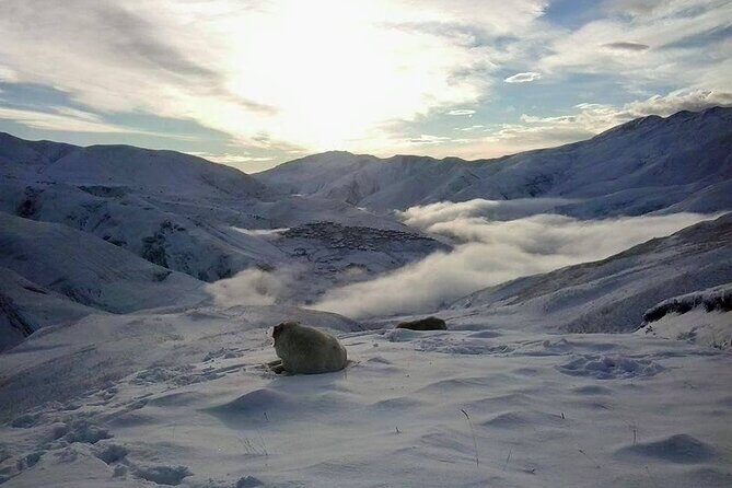 Khinalig tour - the highness mountain village of Azerbaijan - The Benefits of a Guided Tour